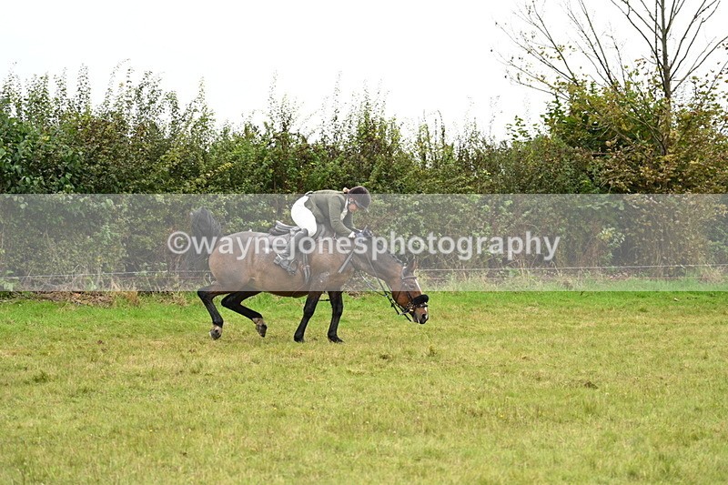 WJ7_4271 - Camera 1 Line 2