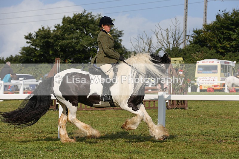 1X9A3270 - Class 28: Ridden Native/Trad Coloured Pony