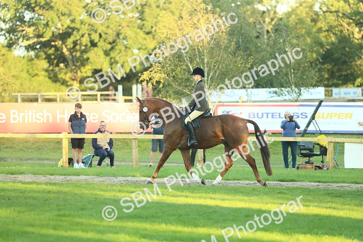 SBM_56446 - S14 - Riding Club Horse
