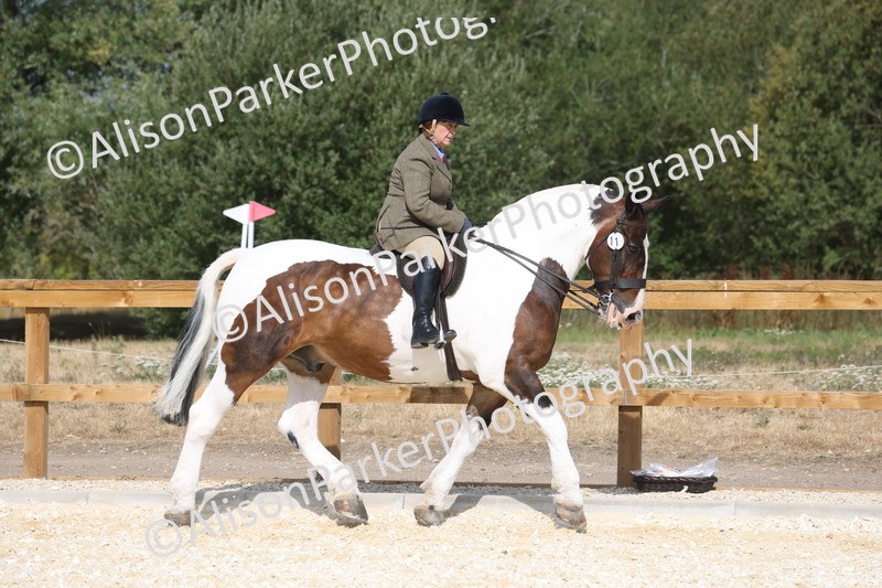 20260802-0413 - Class 6 - Veteran Ridden