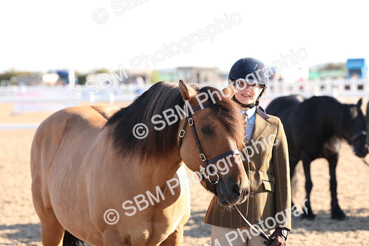 SBM_10794 - Class 201 - Best Turned Out - IH