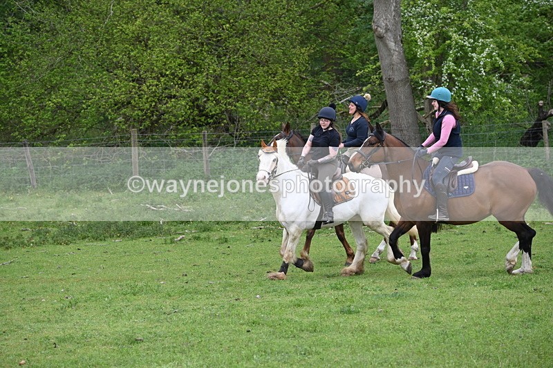 WJ6_3137 - A camera