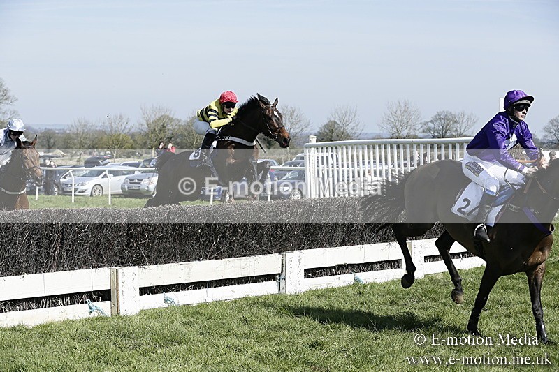 PtP 260317 51 - Mendip Farmers Point-to-Point Ston Easton 26/03/17