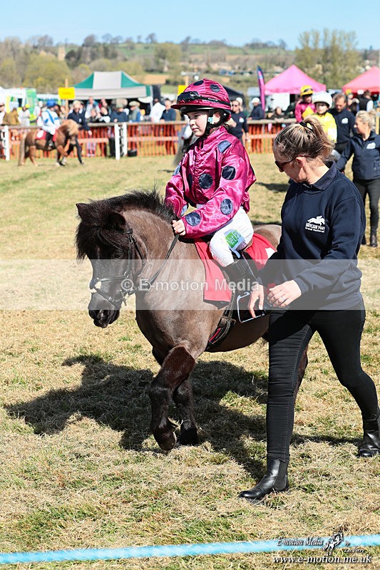 Shet 060426 111 - Shetland Pony Racing Paxford Races Easter Mon 06/04/26