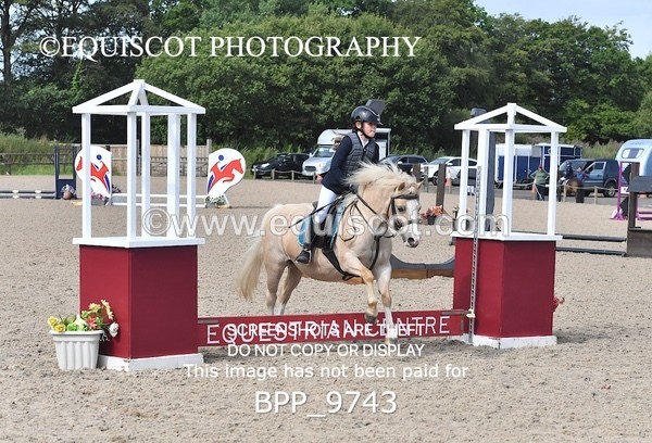 BPP_9743 - CLASS 2 Derby Show Jumping 30CM