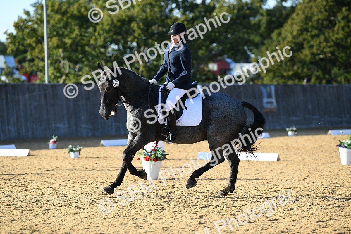 SBM_30711 - D16 - Small Tour Championship - Novice 28