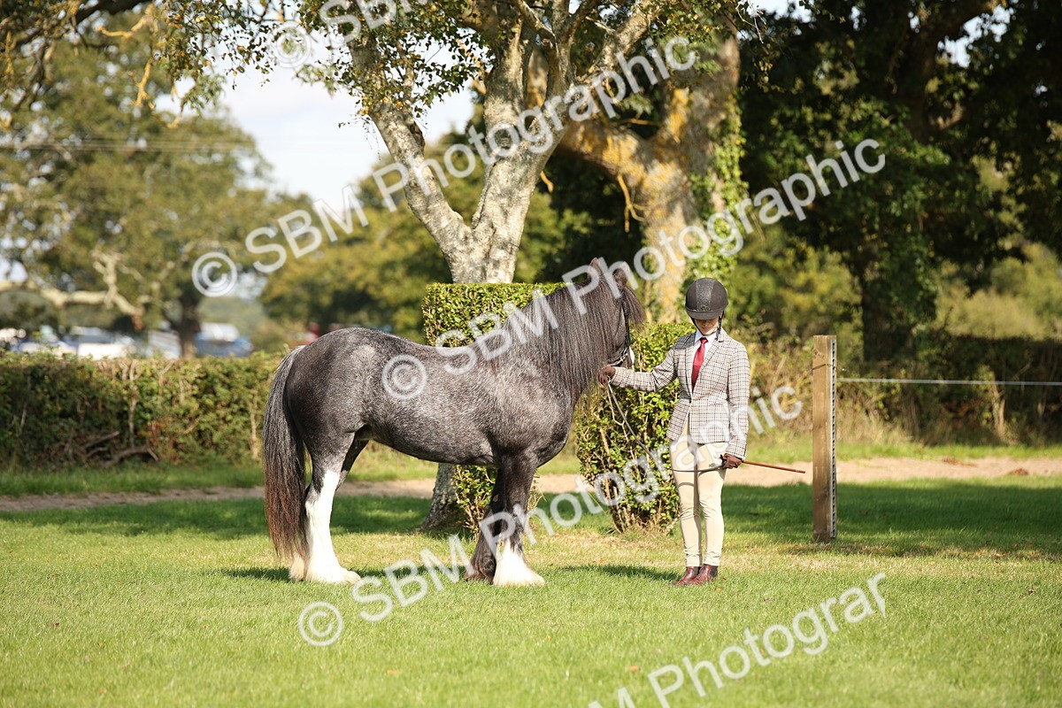 SBM_62204 - S55 - Traditional Cob In Hand