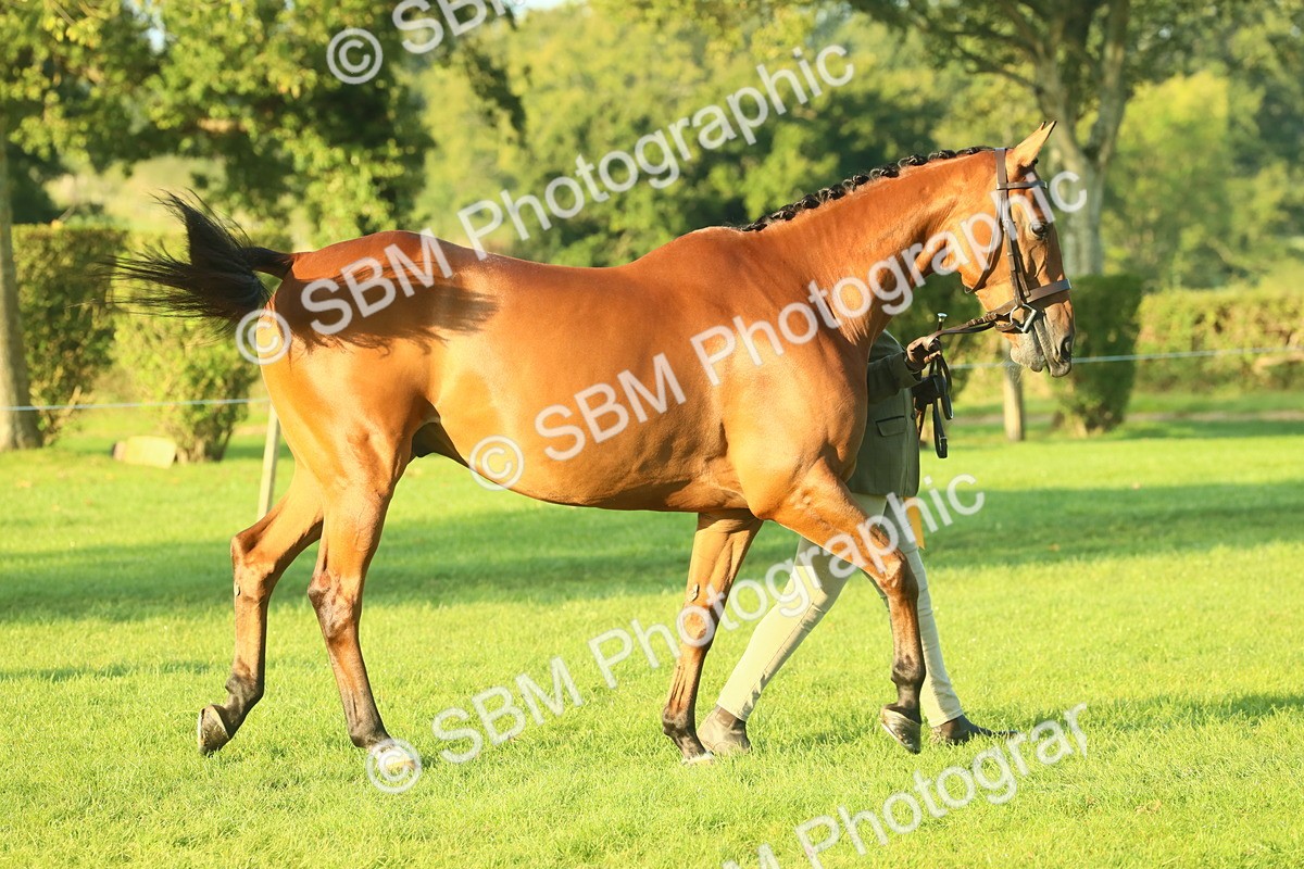 SBM_56767 - S36 - Starters Best Turnout