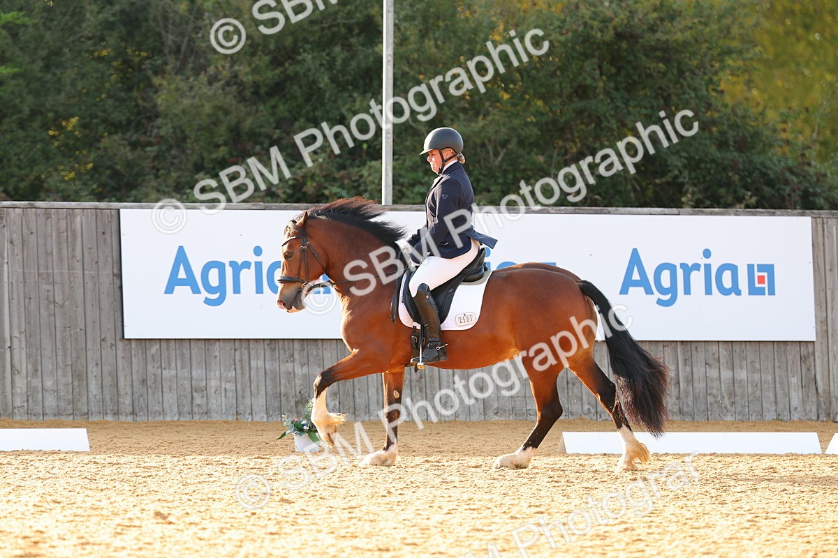 SBM_54508 - D12 - Small Tour Championship - Prelim 18