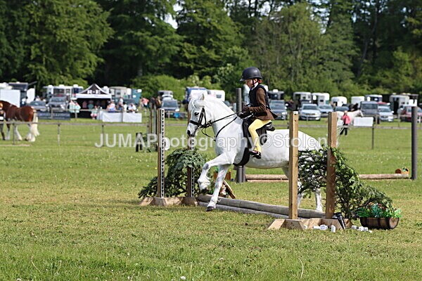 IMG_2126 - Working Hunter