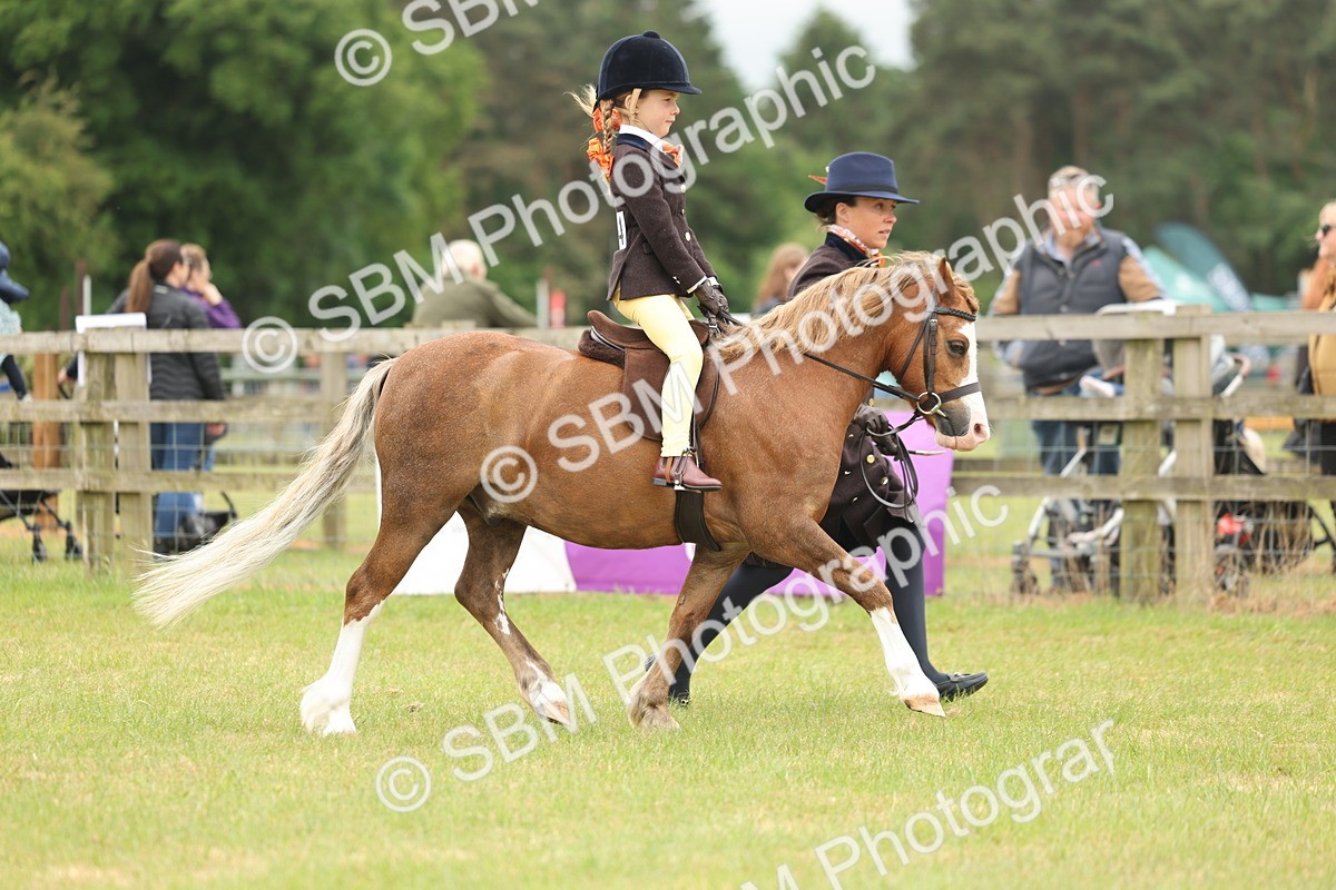 SBM_06722 - Class 74-75 - M&M Lead Rein and First Ridden Pony