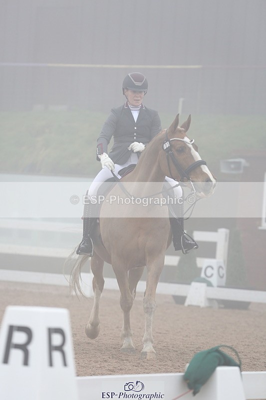 240217A-130114-03014 - 103-Ruth.Saunders-Dizzy.Rascal.VII