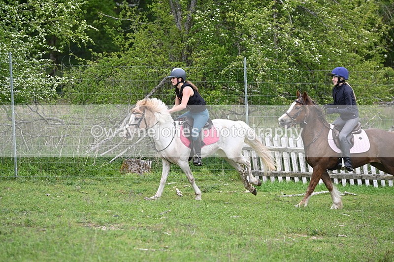WJ6_3391 - A camera