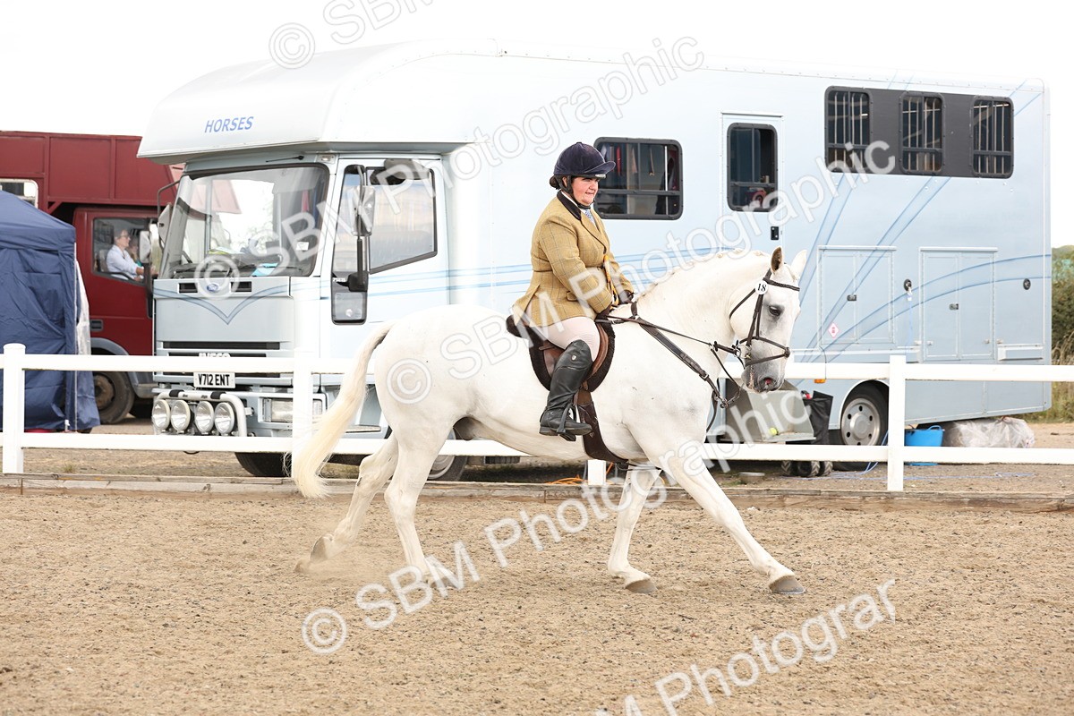 SBM_07528 - Class 59a -  Style & Performance - 80cm (15-19)