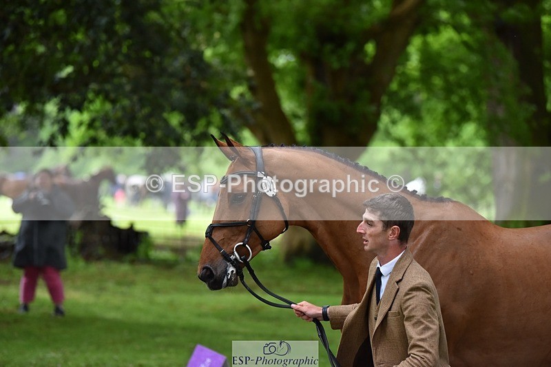 240522-165626-01267 - 282-COOLEY_CORNASUS-Tom_Jackson