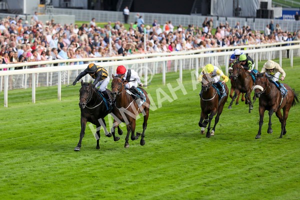 280723-Race 3-Loose Cannon-2822 - Race 3 6.05pm Ire-Incentive, It Pays To Buy Irish EBF Restricted Novice Stakes