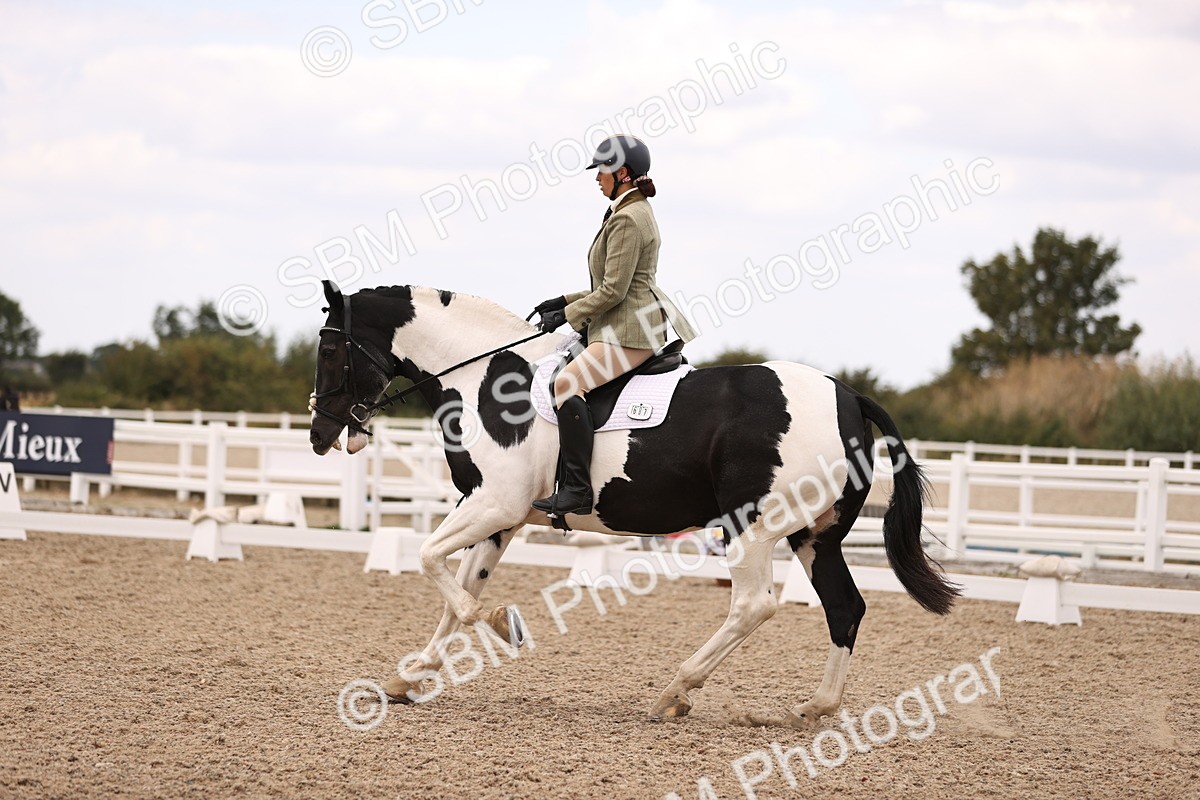 SBM_05900 - Class 37 Novice 5