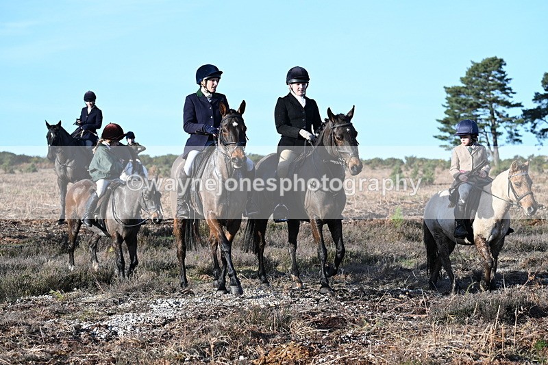 WJ7_7386 - Line 3 (no line 4 or 5)