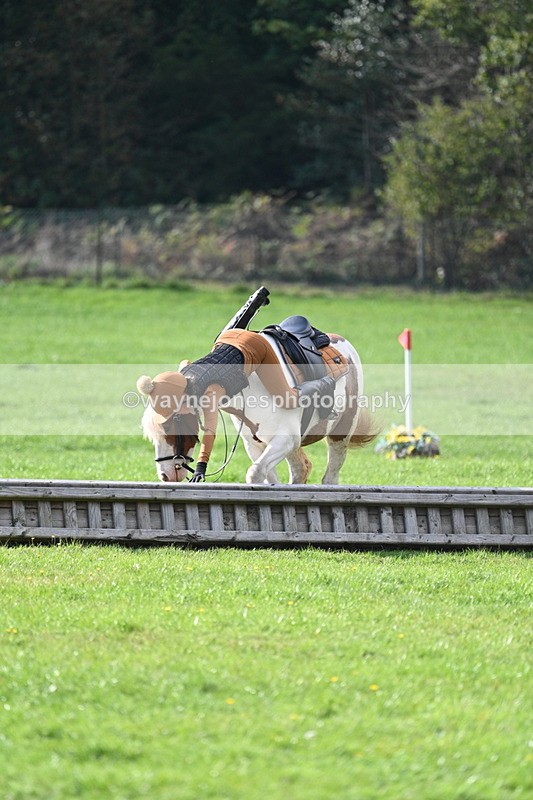 WJ7_3970 - 40cm Time 10:26 to 10:42