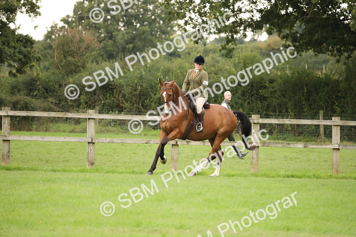 SBM_73736 - S41 - Ridden Equitation (Best Rider)