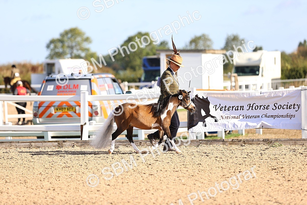 SBM_08518 - Class 402 - IH Veteran Pony