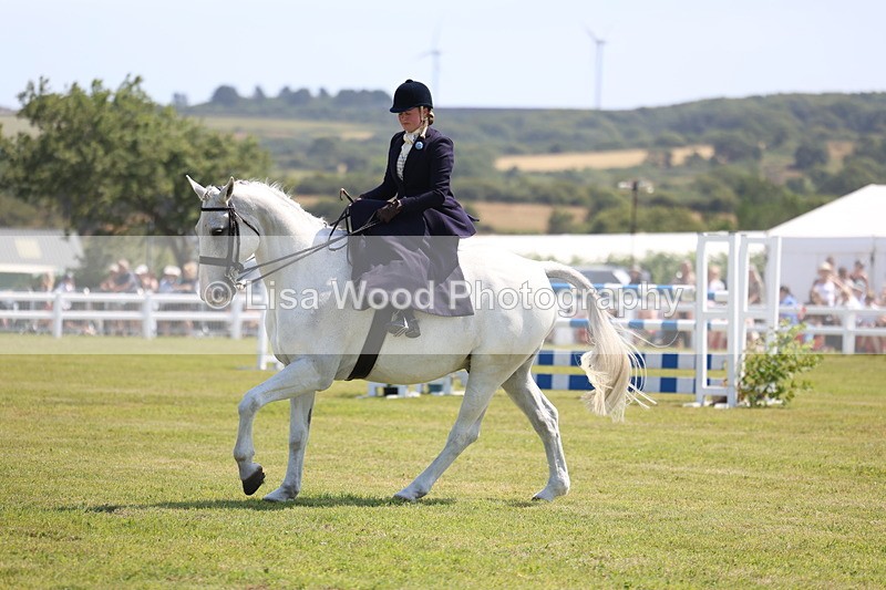 3E7A9755 - Class 13: Side Saddle