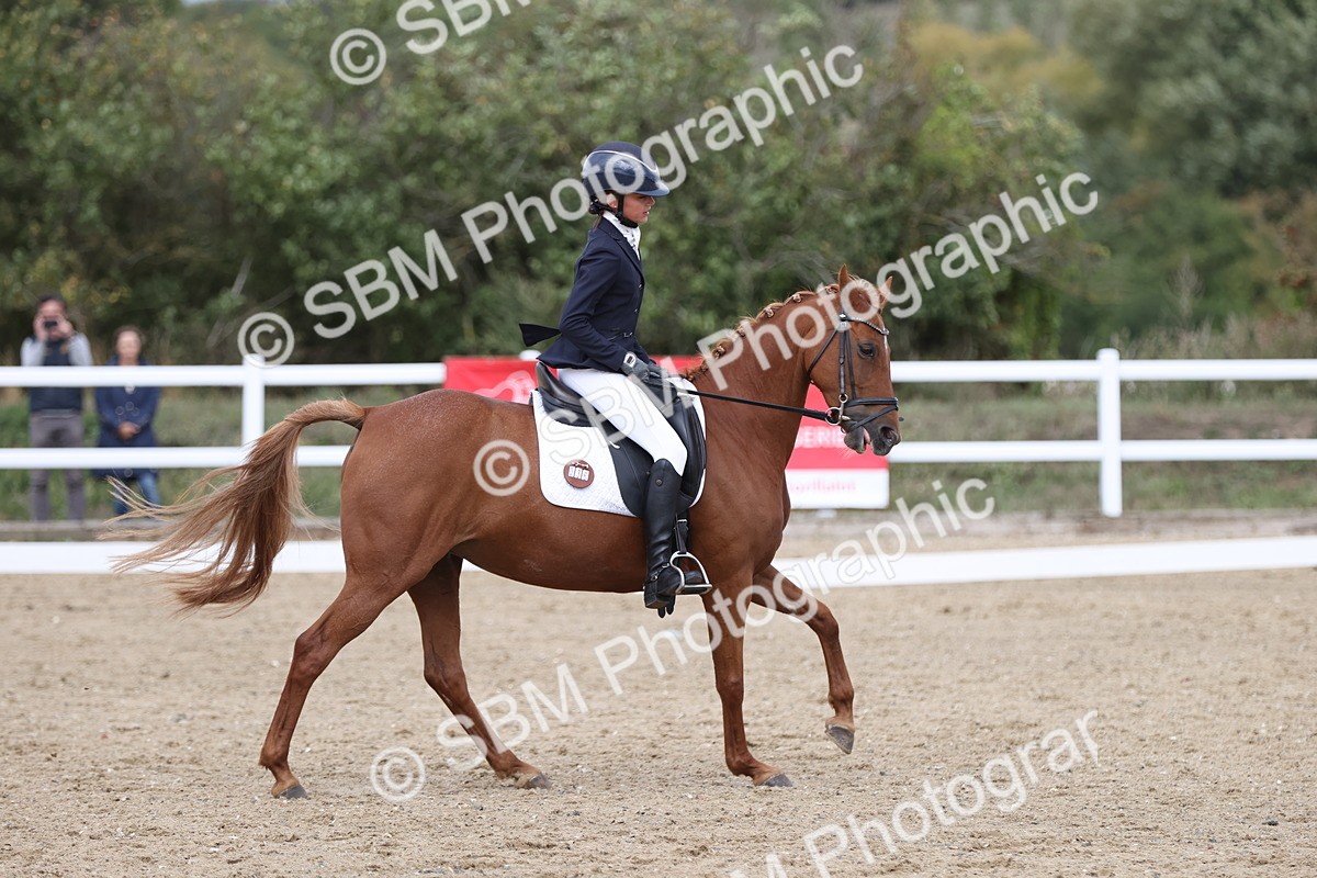 SBM_003811 - Class 9 - Novice 3 Champs