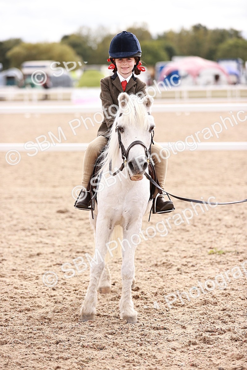 SBM_18315 - Class 417 - Handsome Gelding (IH or Ridden - JNR)