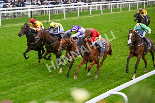 101025-Race 2-Astrazar-6342 - Race 2 British EBF £100,000 Final at York
