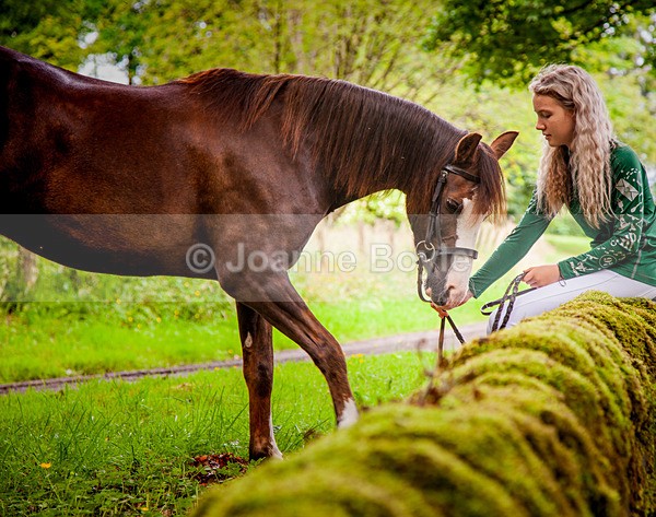  - Equine Gallery Portfolio