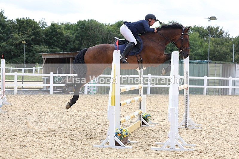 3E7A6565 - Class 9: Senior Foxhunter/1.20 open