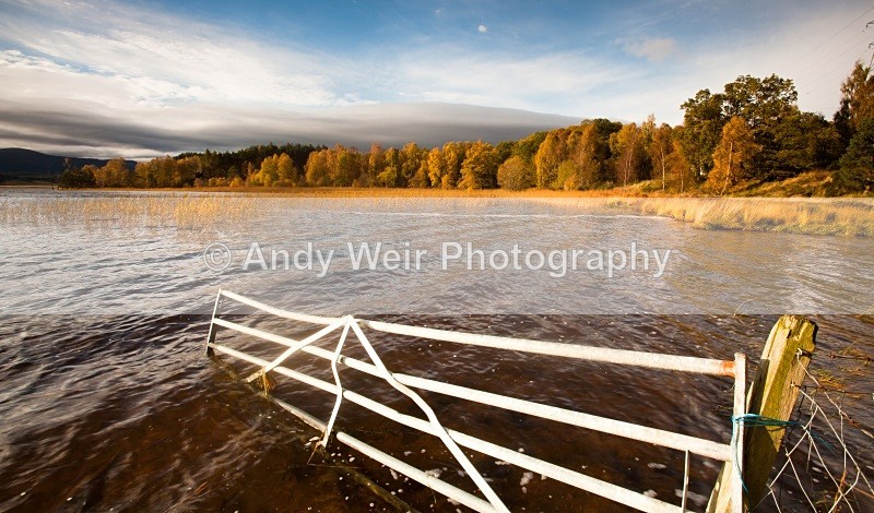 20101026-2820 - Scotland