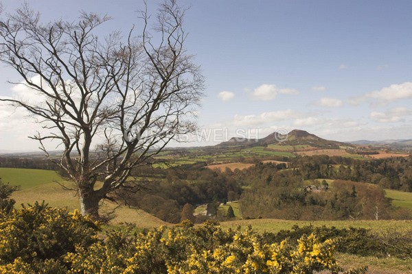 79 - SCOTTISH BORDERS