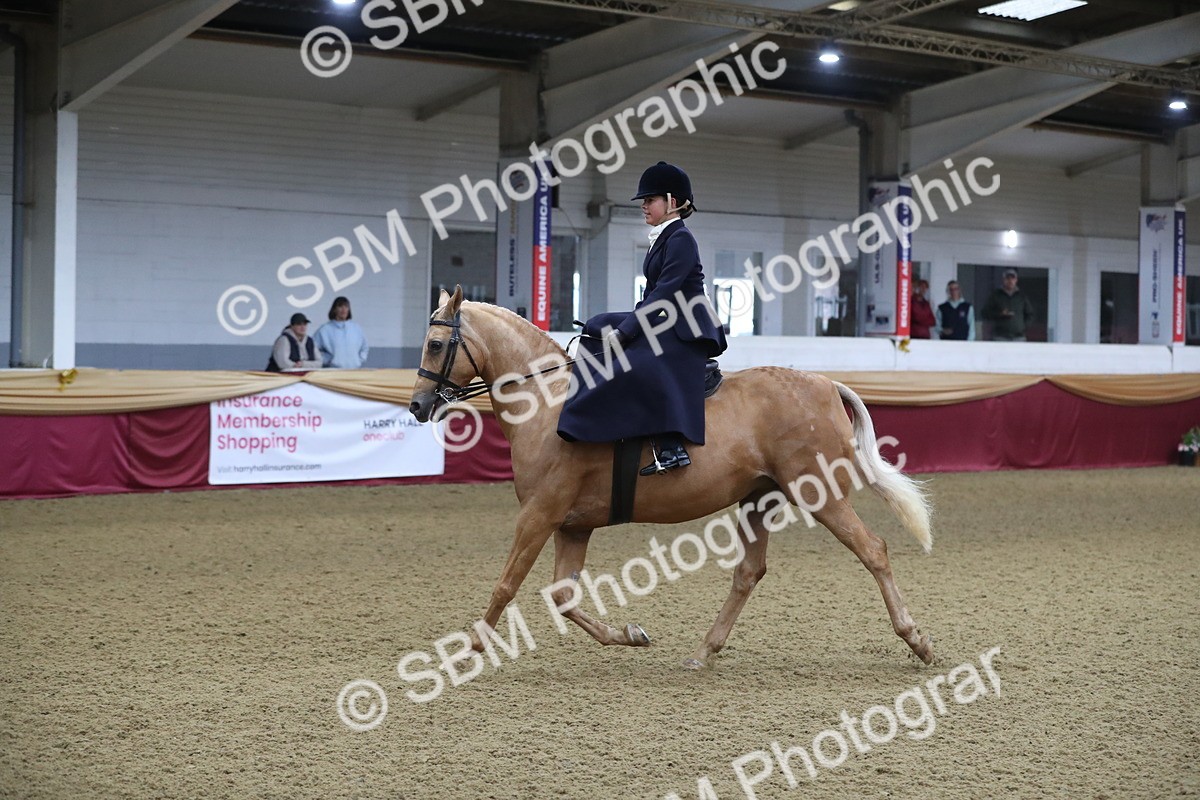 SBM_09298 - Class 101 Equitation (best rider), Junior