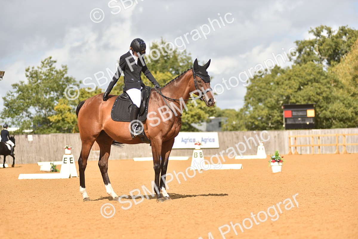 SBM_03416 - D4 - Small Tour Championship Intro 4