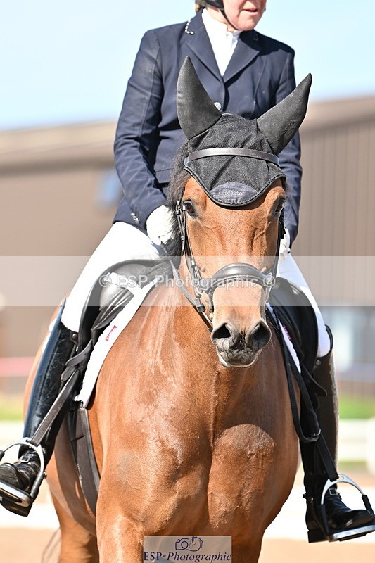 240816A-163340-06197 - 197-Karen.Martin-Furzeylodge.Weatherwax