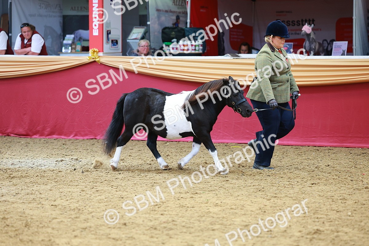 SBM_04194 - Class 9R - IH Pre-Vet
