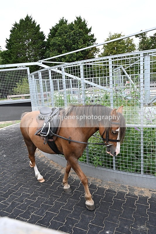 WJ6_2950 - Berks & Bucks - The Old farmhouse - Hound Exercise 20-08-25