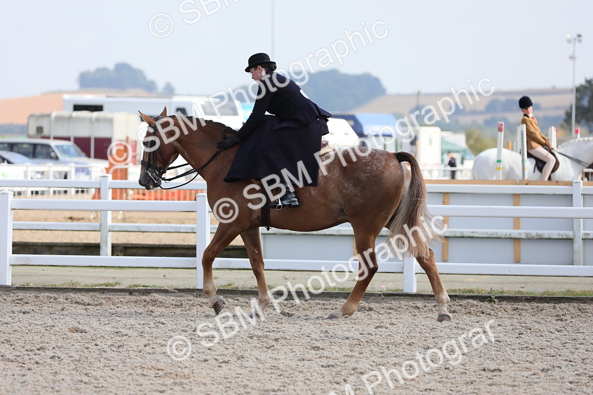 SBM_14577 - Class 211 Best Side Saddle Horse/Pony