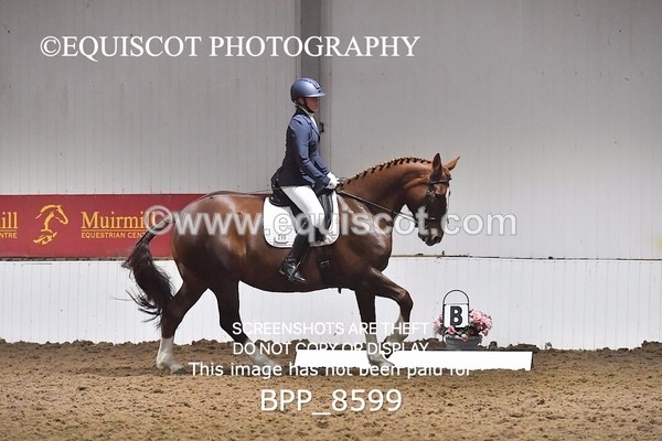 BPP_8599 - NOVICE 4 BD