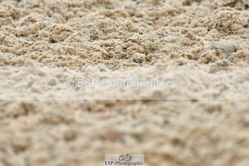 230630A-153148-03318 - Cls 1+5 Quest Intro A + Prelim 2