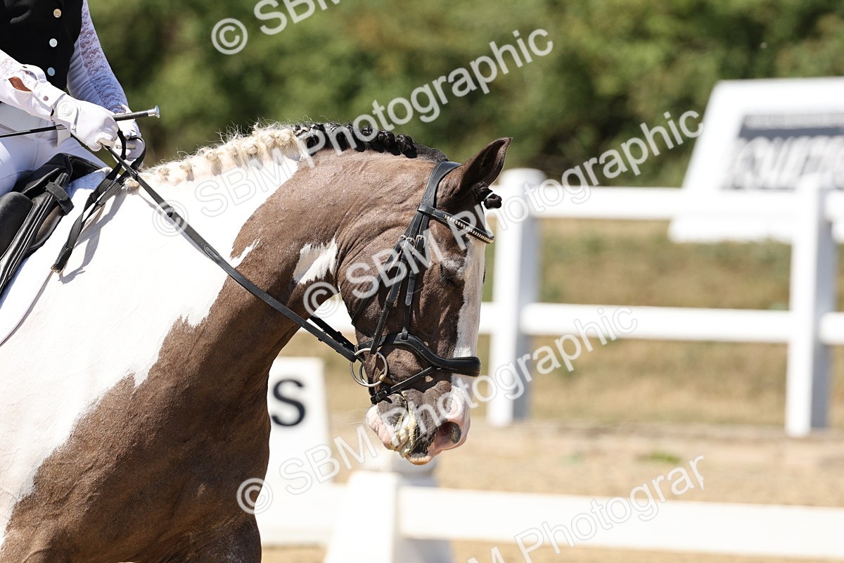 SBM_002655 - Prelim 4 - 13.41-16.04