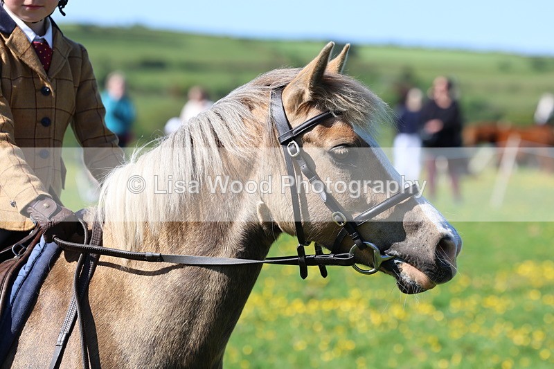 3E7A9244 - Class 3: First Ridden