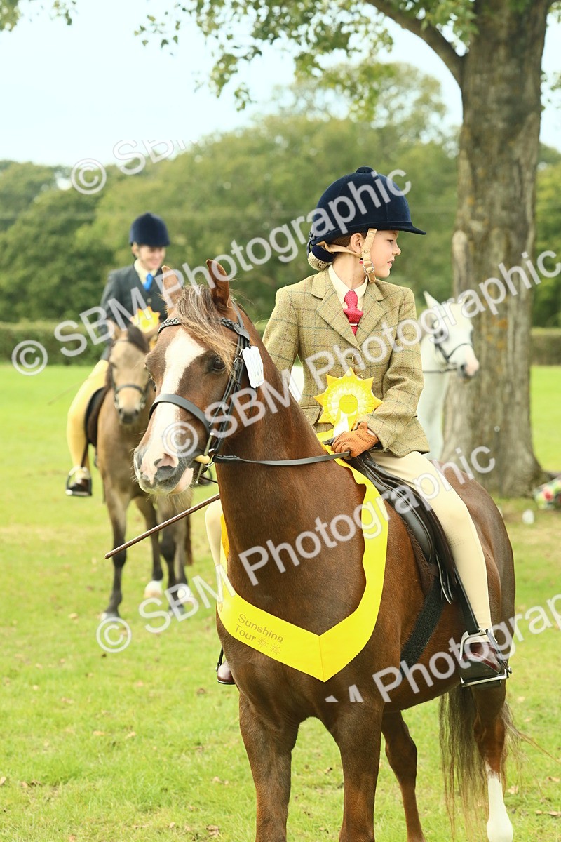 SBM_70042 - S59 - Mountain & Moorland Ridden Small Breeds