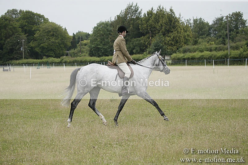 B230619-0889 - Bourne Valley Riding Club Summer Show 23/06/19