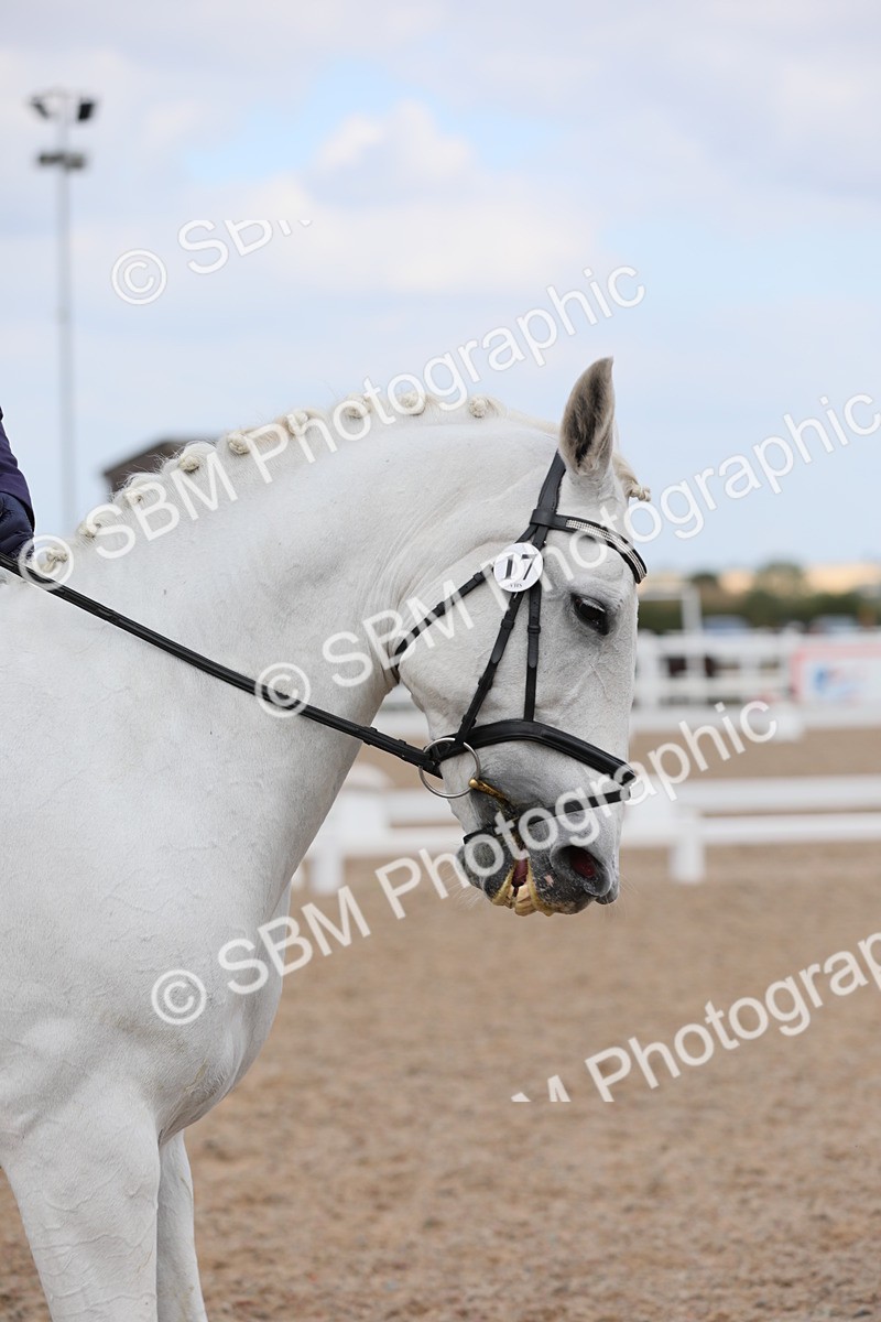 SBM_05783 - Class 32 Novice 1