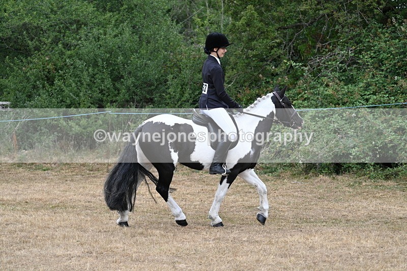 WJ7_7609 - Class 3 Family Mount