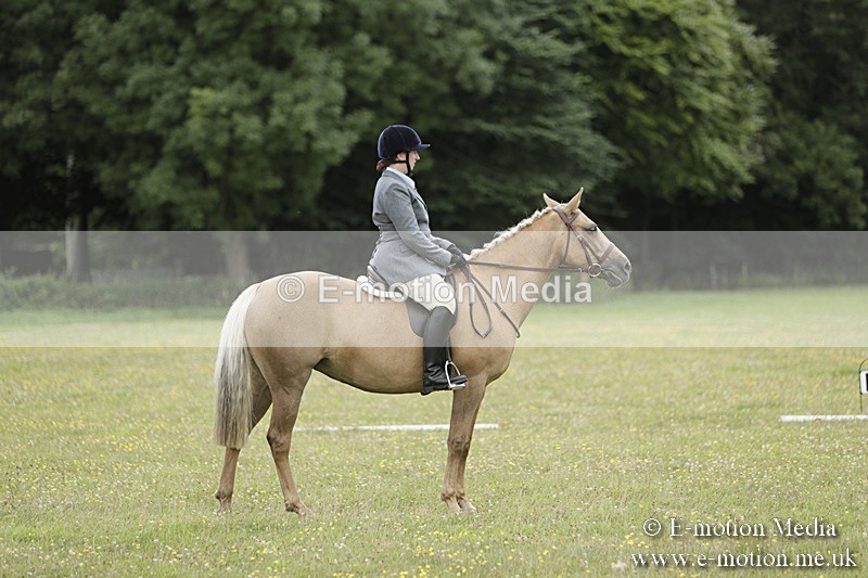 BVR160717-1204 - Class 2 Dressage 16/07/17