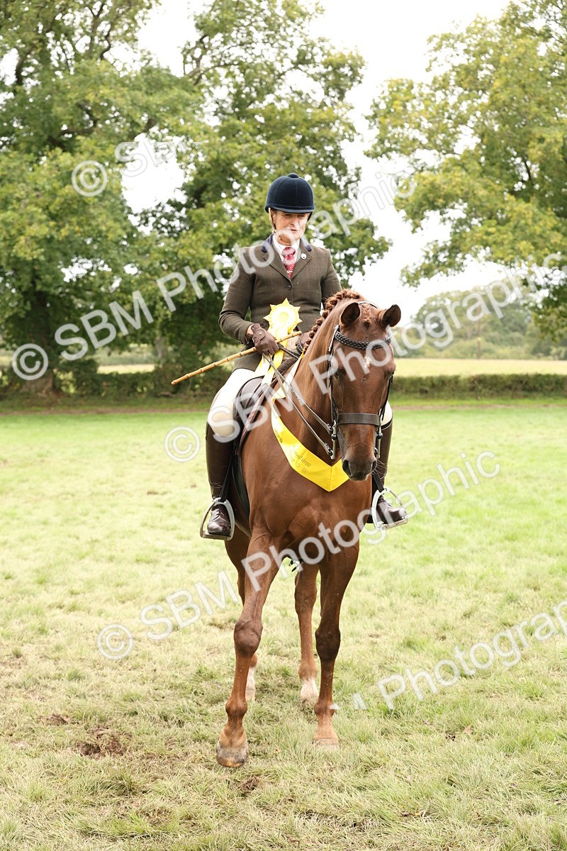 SBM_64335 - S65 - Riding Horse & Hack & Thoroughbred Ridden