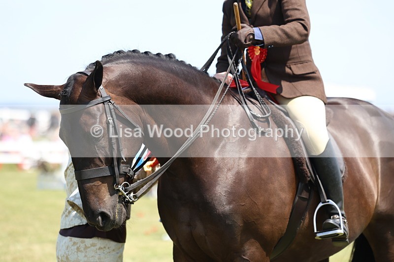 3E7A9525 - Open Ridden Championship